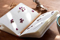 Healing Journal
