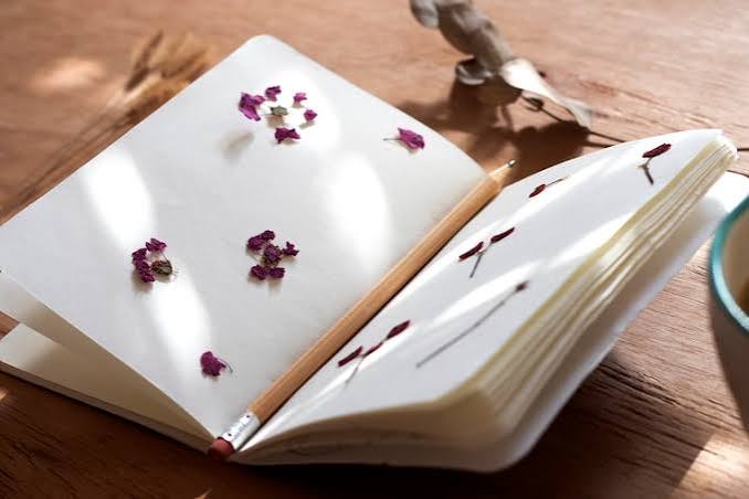 Healing Journal